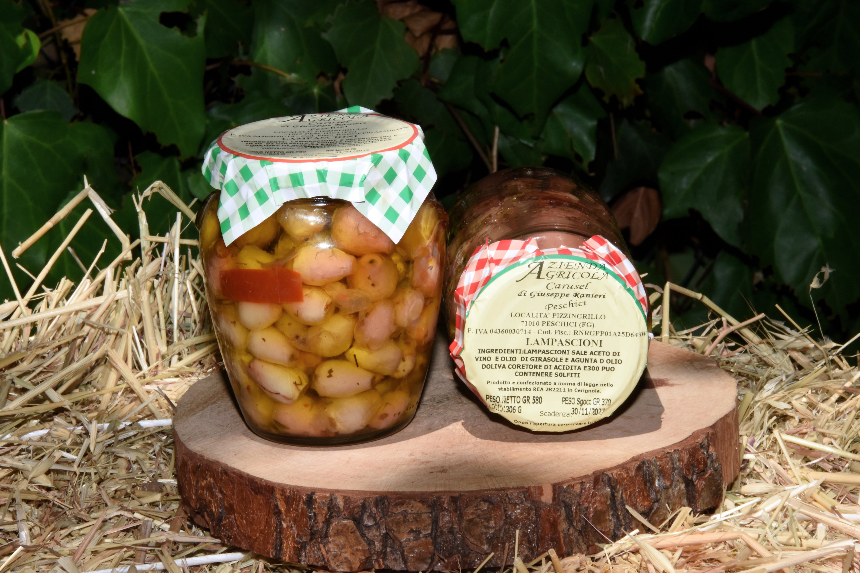 Vasetto sott'olio lampascioni Carusel