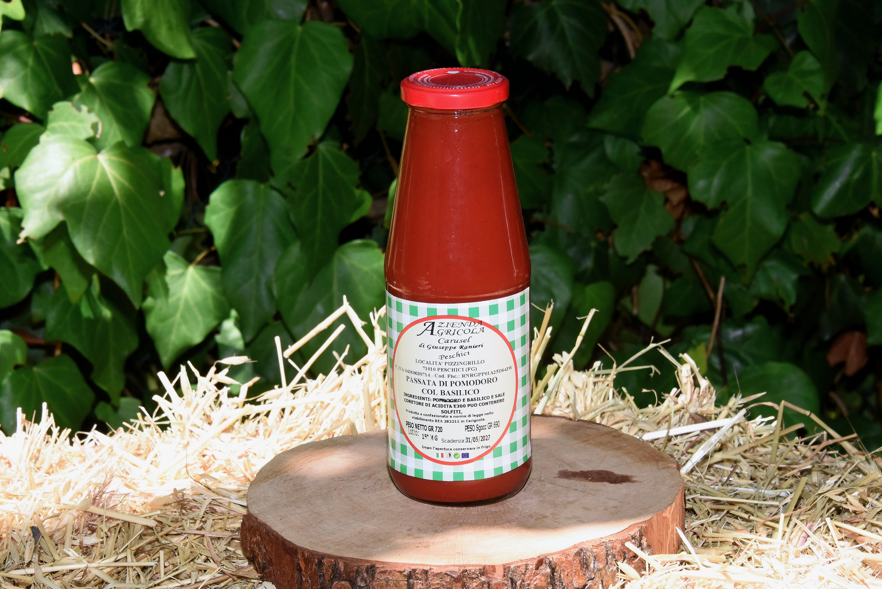 Passata di pomodoro col basilisco