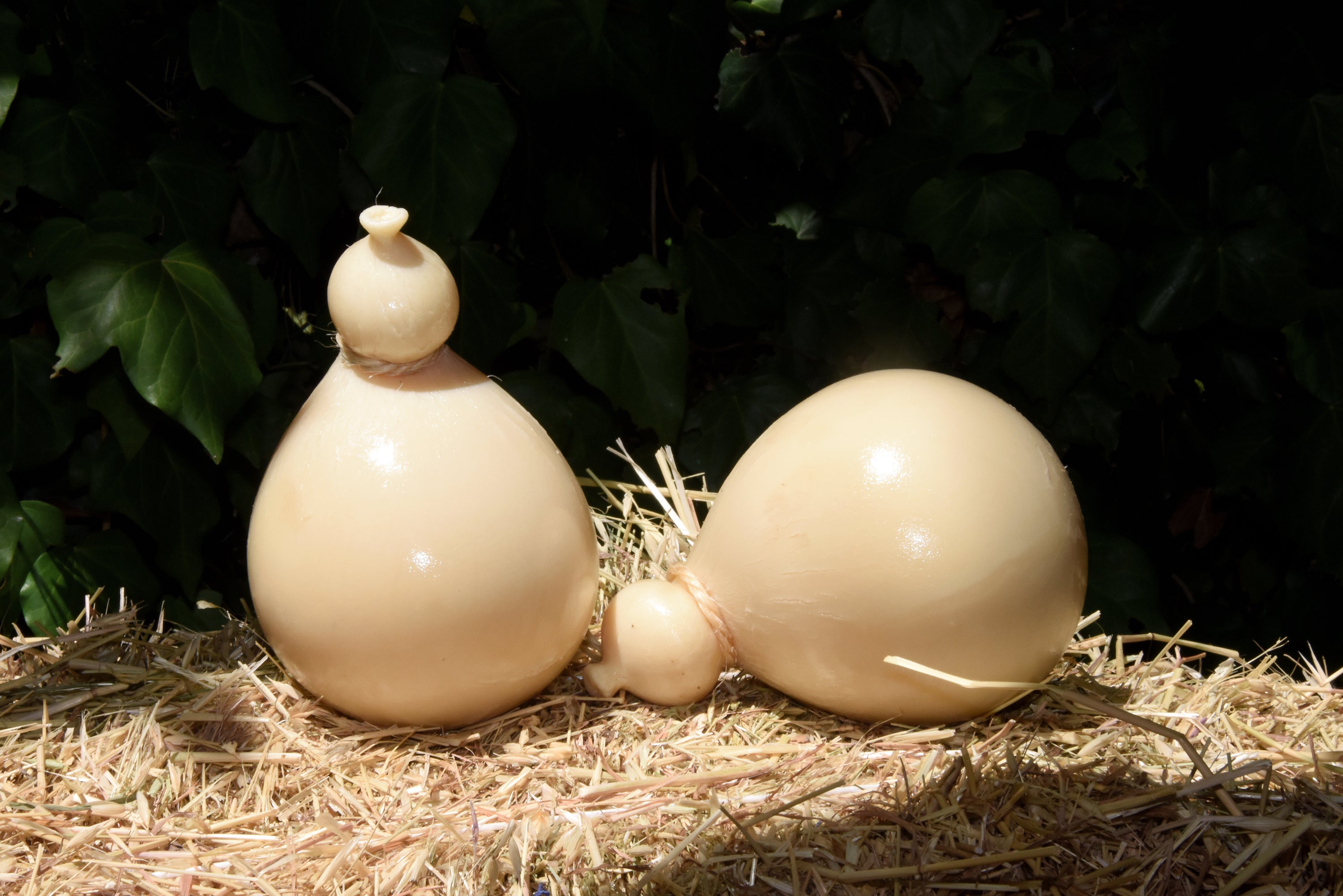 Caciocavallo Podolico 4 - 6 mesi